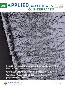 Applied Materials and Interfaces