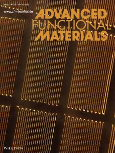 Direct Writing of Gallium–Indium Alloy for Stretchable Electronics