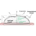 Dropwise gelation–dehydration kinetics during drop–on– demand printing of hydrogel–based materials