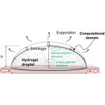 Dropwise gelation–dehydration kinetics during drop–on– demand printing of hydrogel–based materials