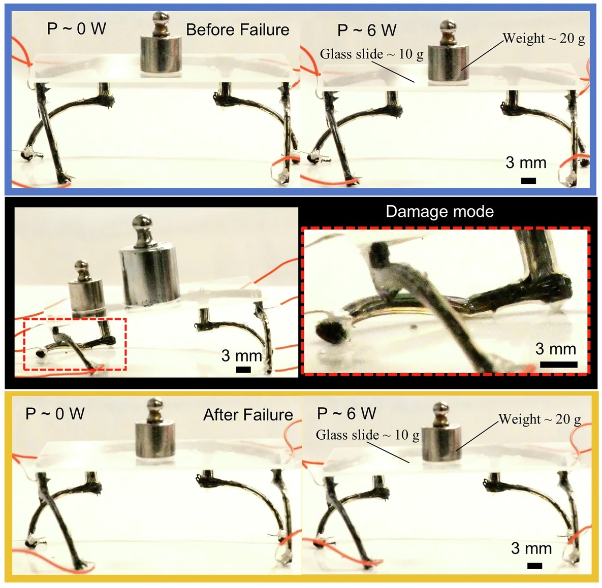 41467_2025_65279_Fig4_HTML copy