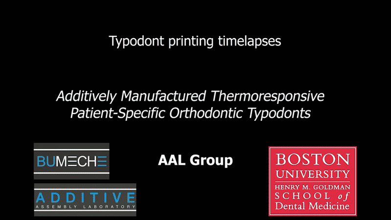 4DTypo-Print